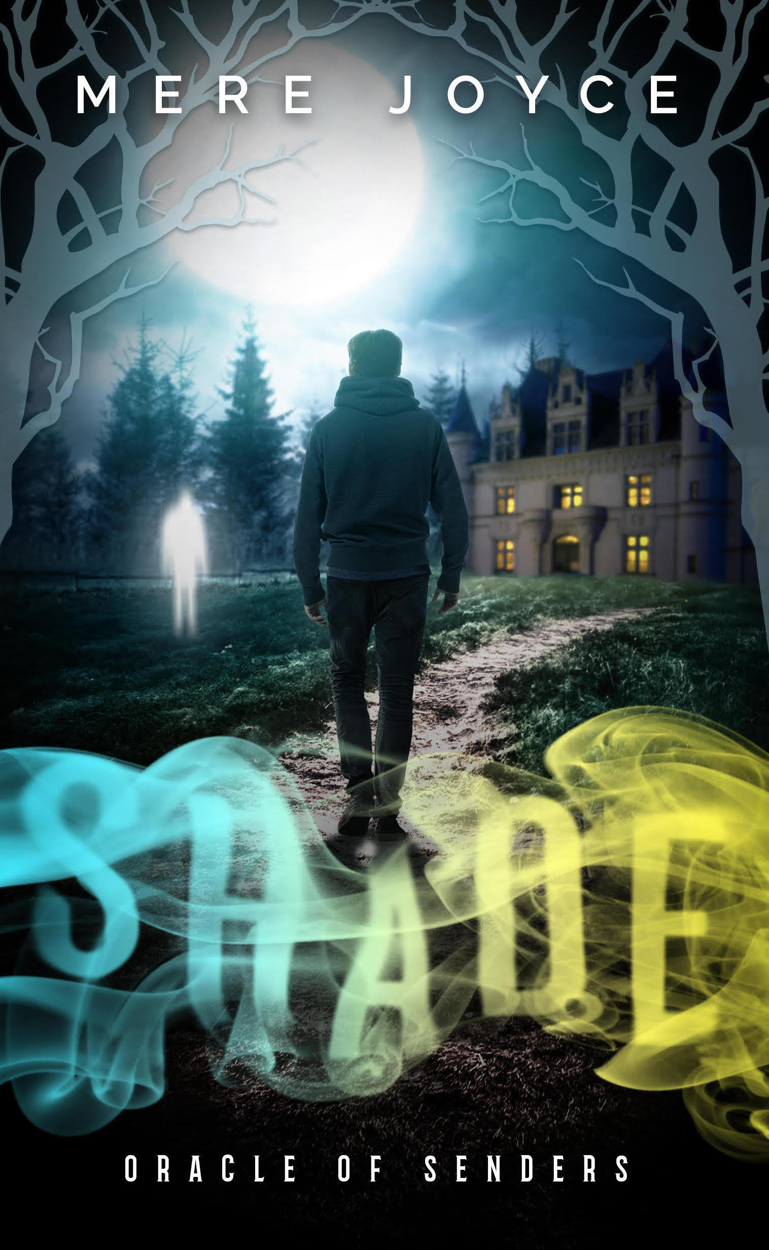 Oracle of Senders book cover 1