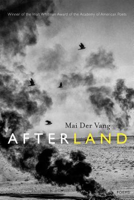 Afterland book cover