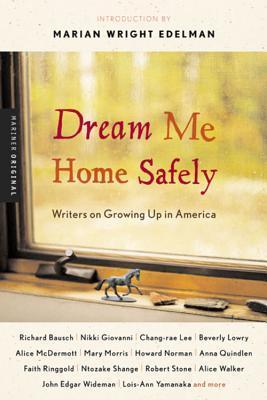 Dream Me Home Safely book cover