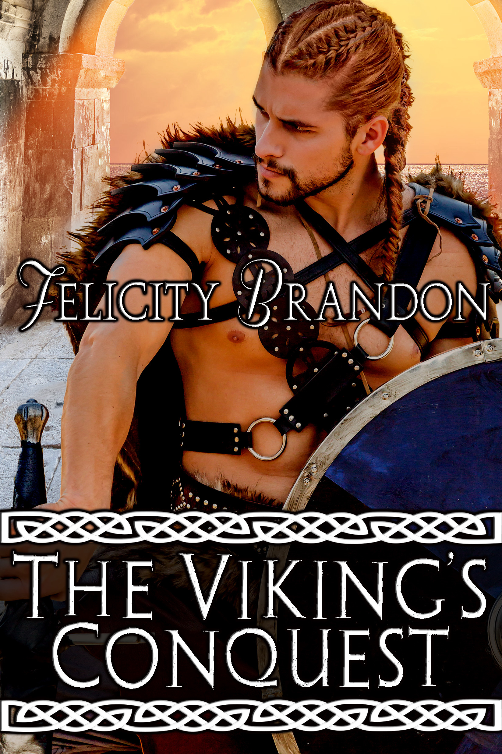 The Viking's Conquest book cover