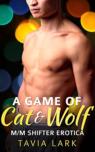 The Raven Park Wolves book cover 2