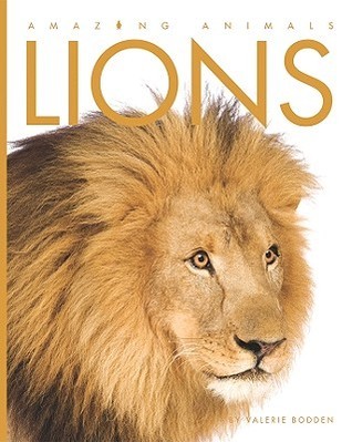 Lions book cover