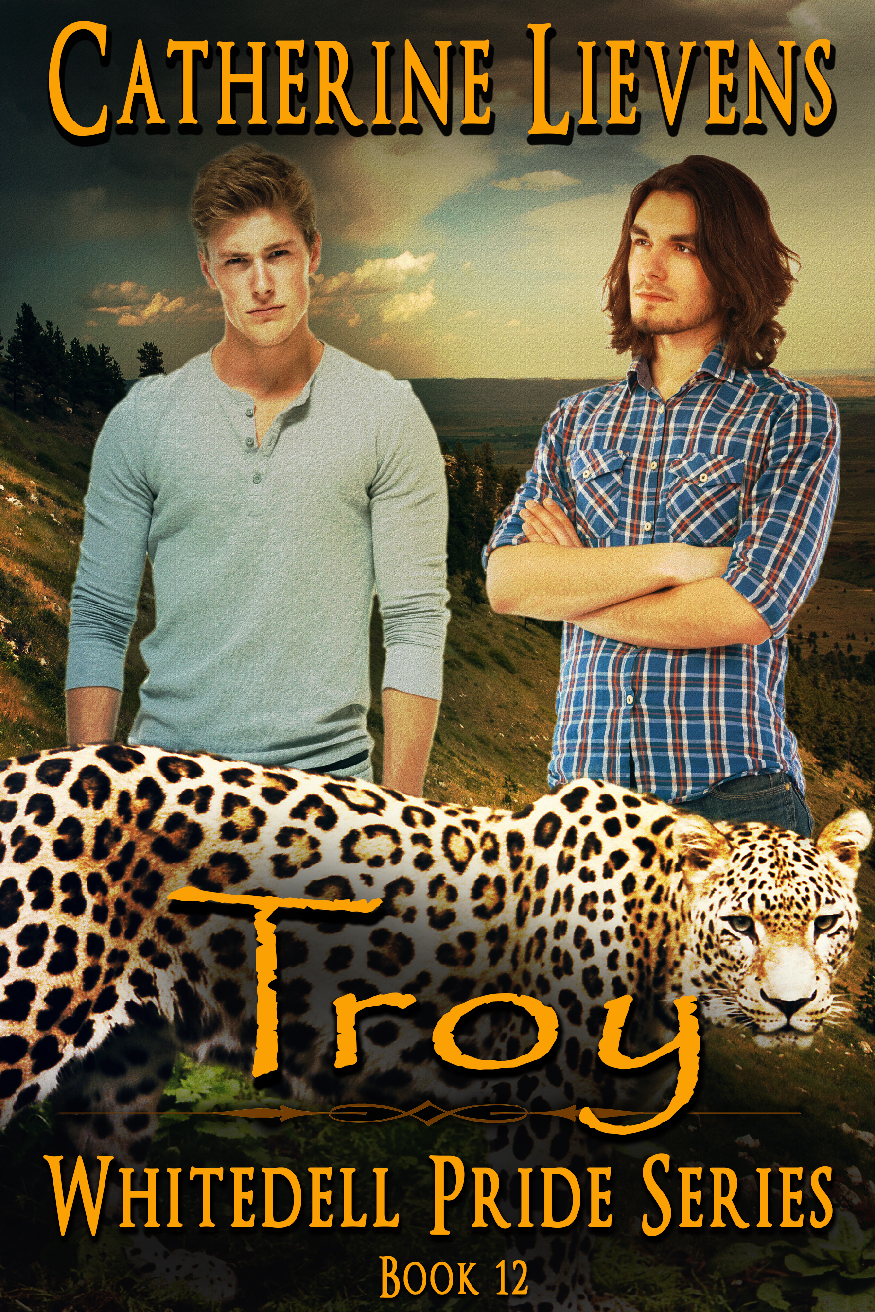 Troy book cover
