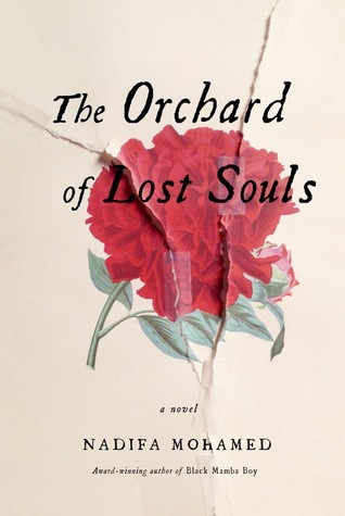 The Orchard of Lost Souls book cover
