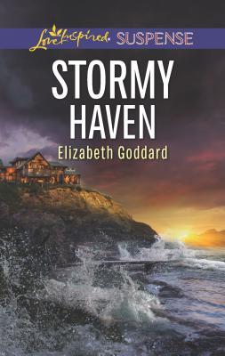 Coldwater Bay Intrigue book cover 2
