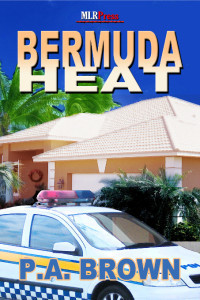 Bermuda Heat book cover
