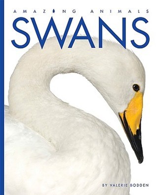 Swans book cover