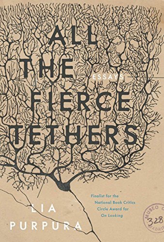 All the Fierce Tethers book cover