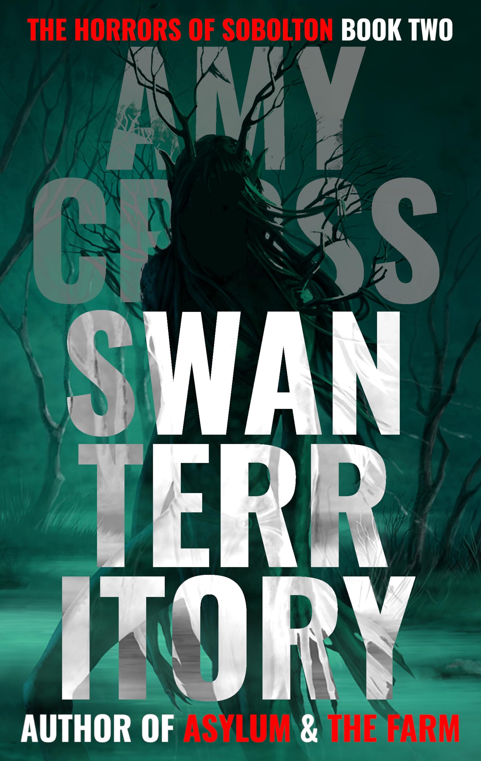 Swan Territory book cover