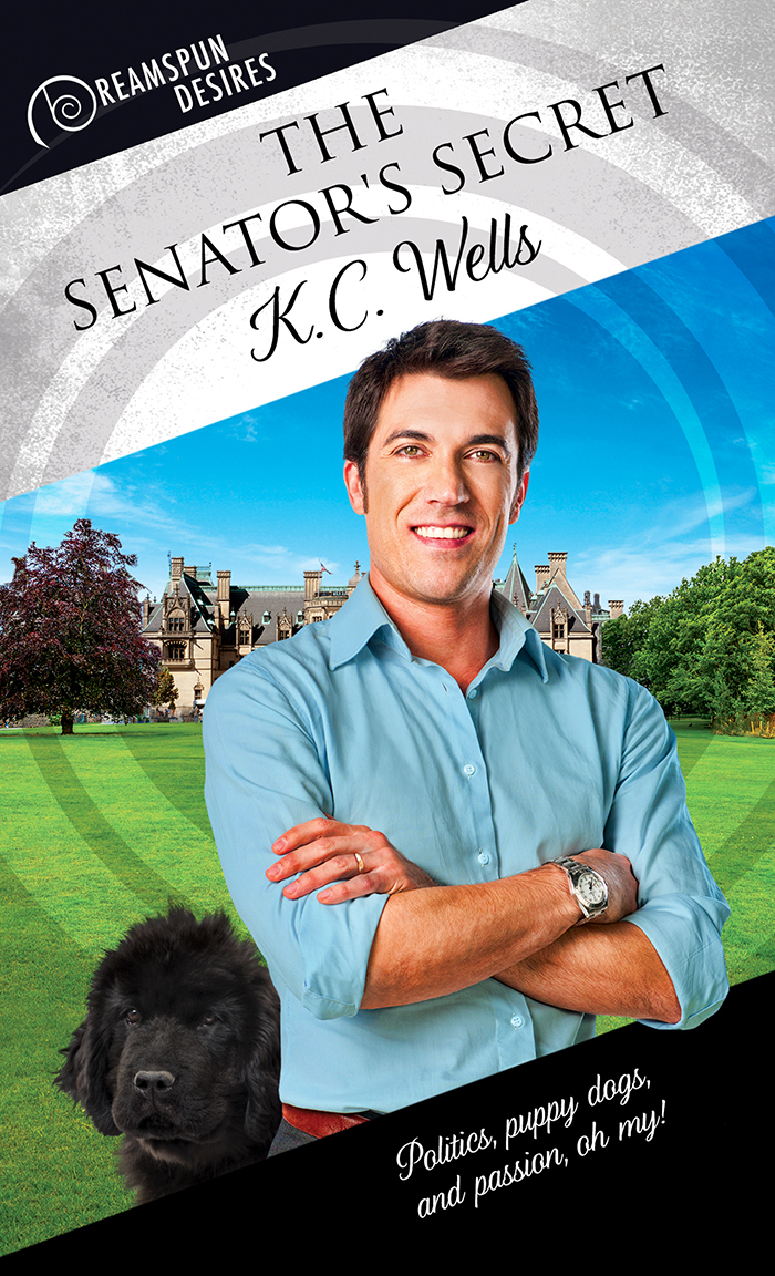 The Senator's Secret book cover