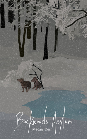 Lost Shifters book cover 1