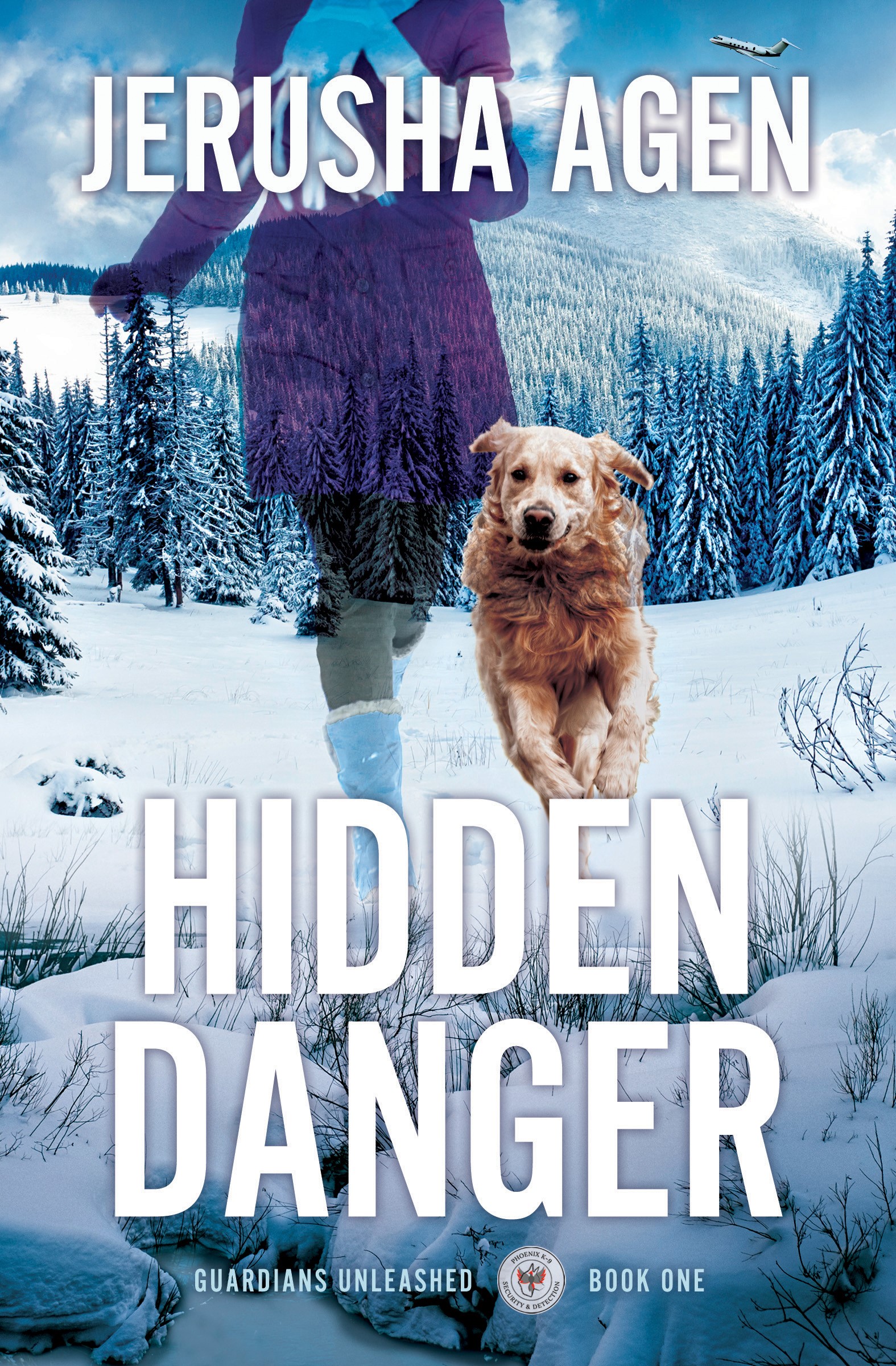 Hidden Danger book cover