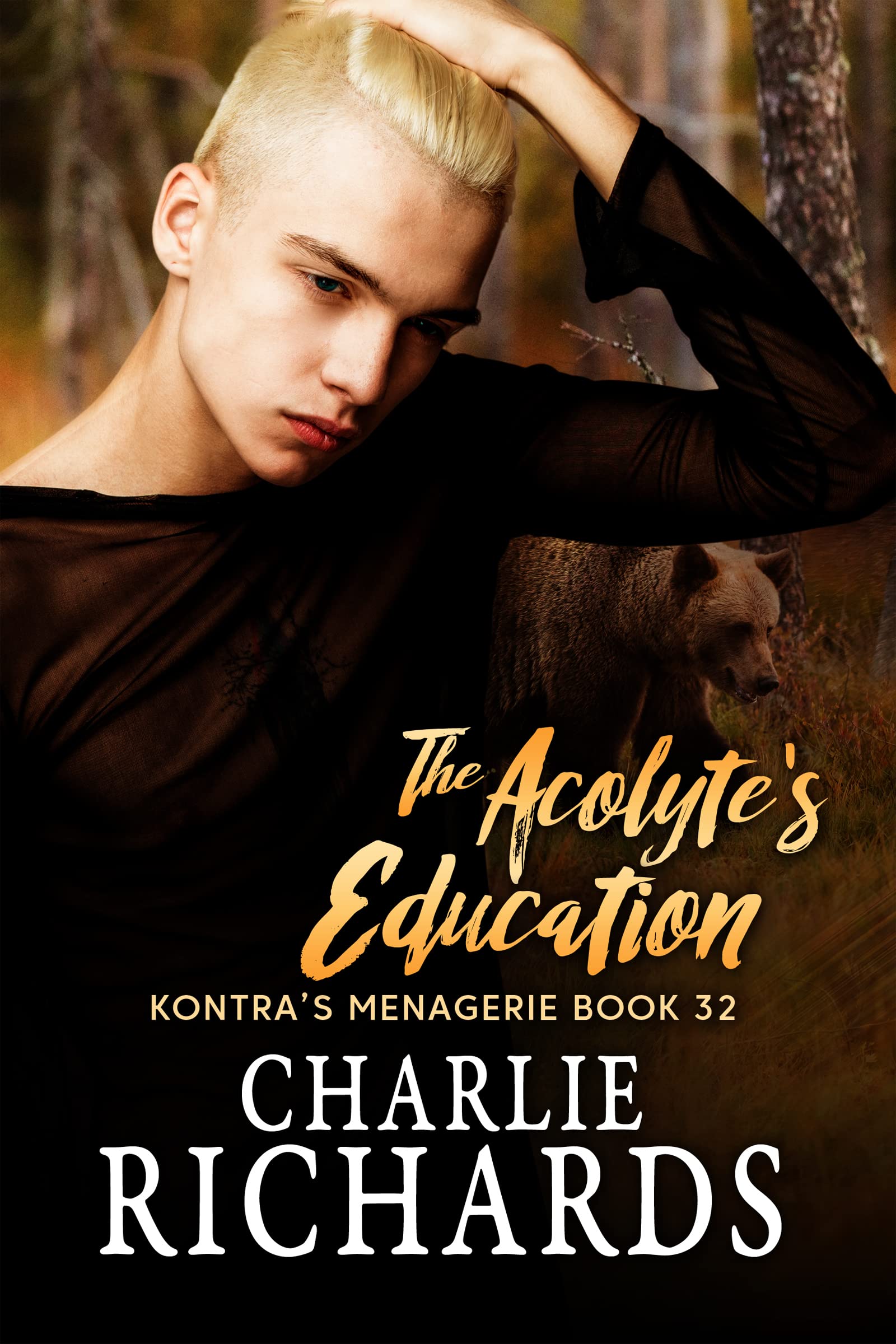 The Acolyte's Education book cover