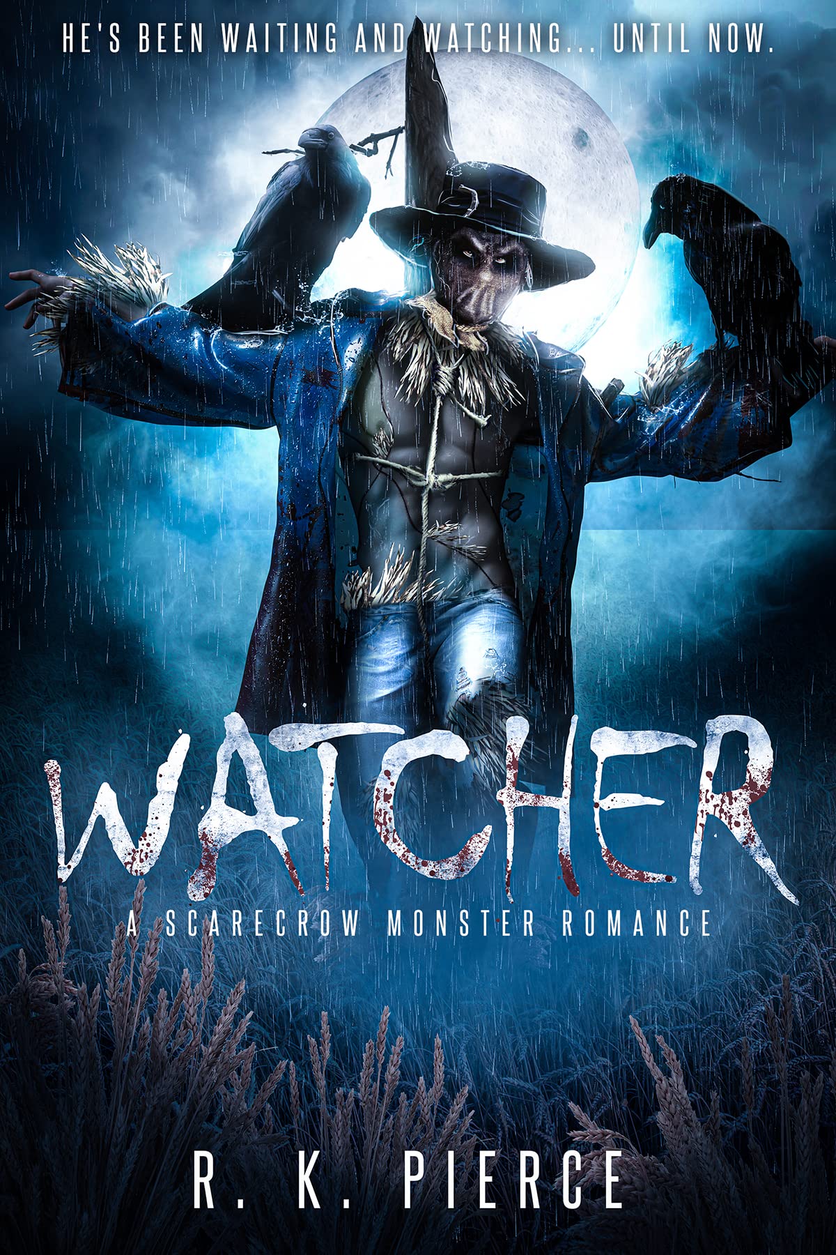 Watcher book cover