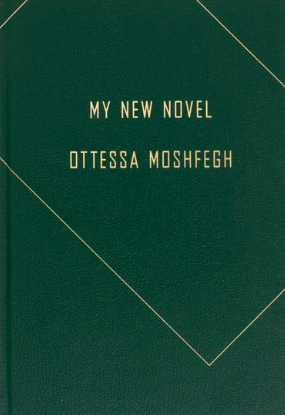 My New Novel book cover