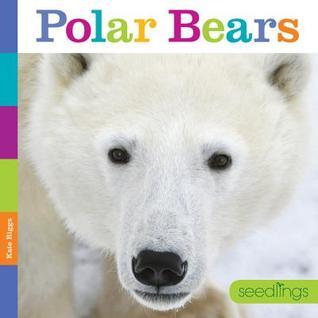 Polar Bears book cover