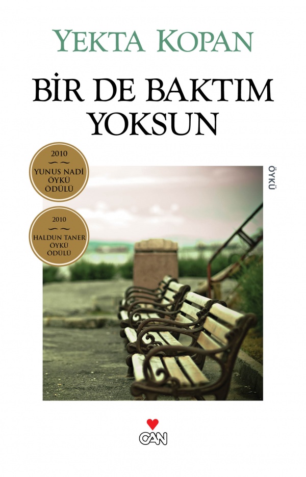And I See You're Missing book cover