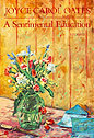 A Sentimental Education book cover