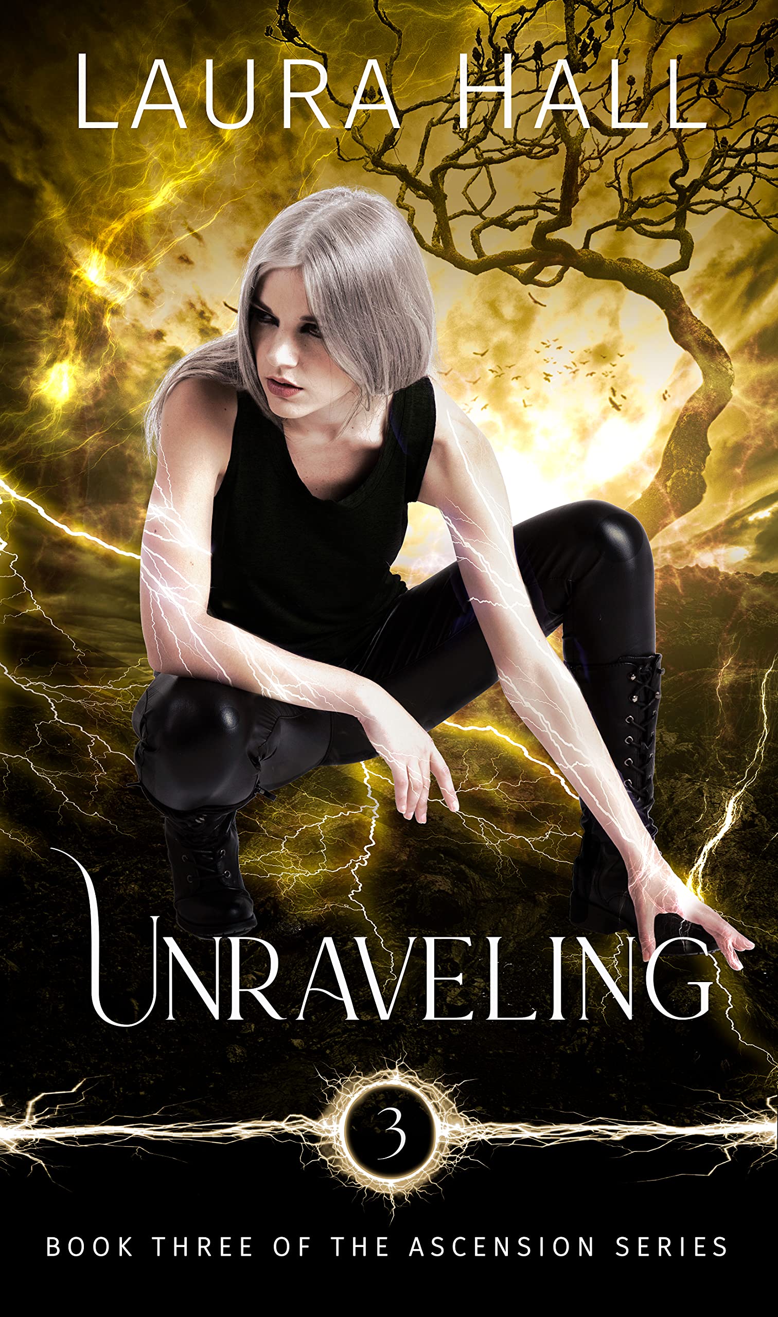 Ascension book cover 3