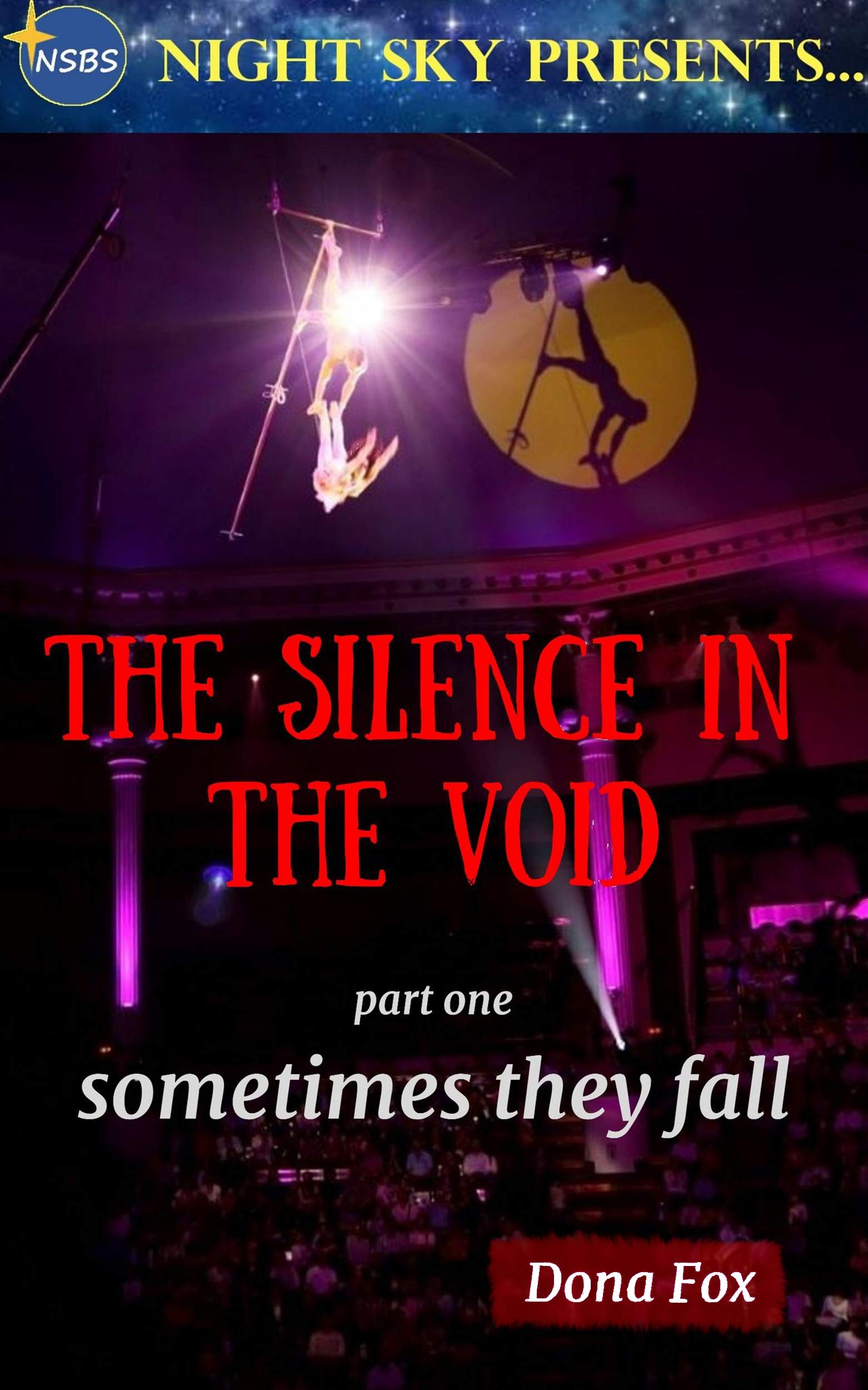 The Silence in the Void book cover
