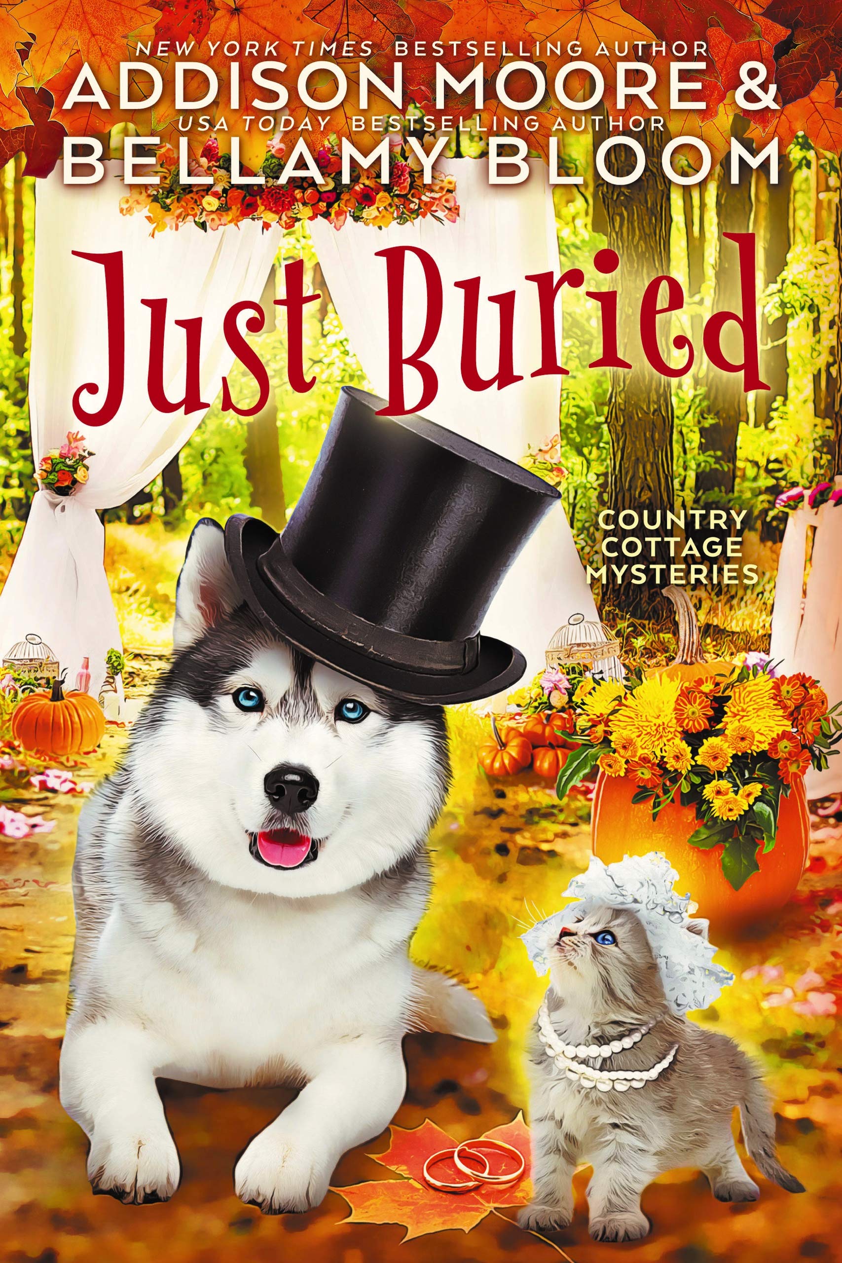Just Buried book cover