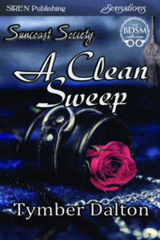 A Clean Sweep book cover