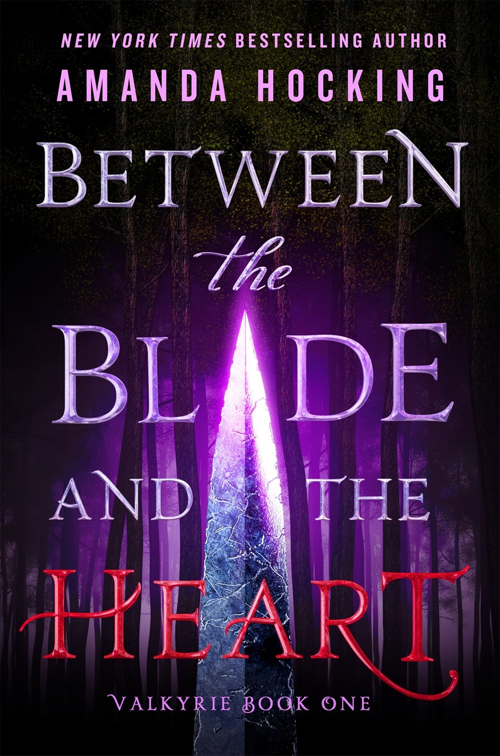 Valkyrie book cover 1