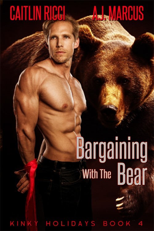 Bargaining with the Bear book cover