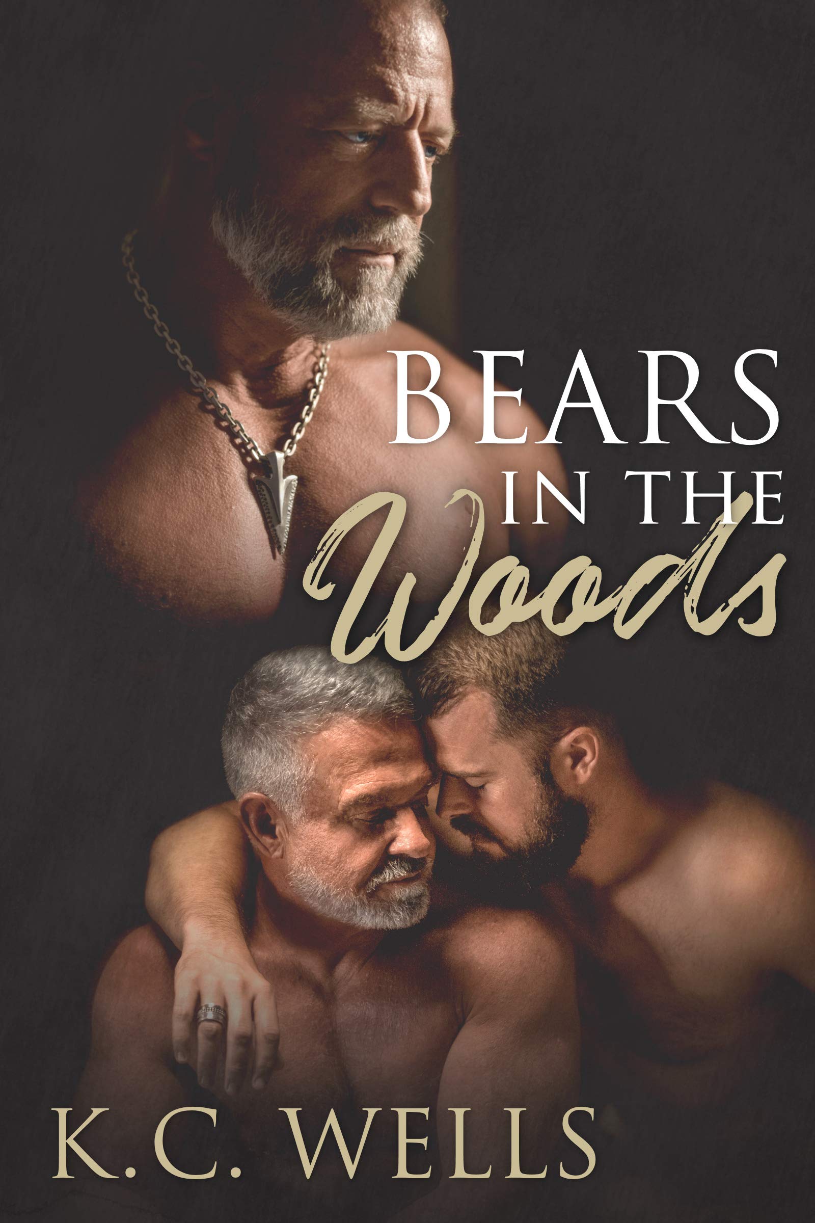 Bears in the Woods book cover