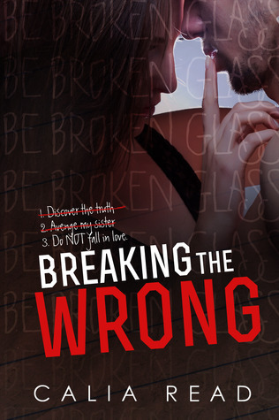 Sloan Brothers book cover 2
