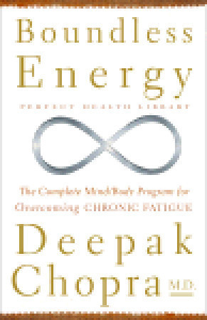 Boundless Energy book cover