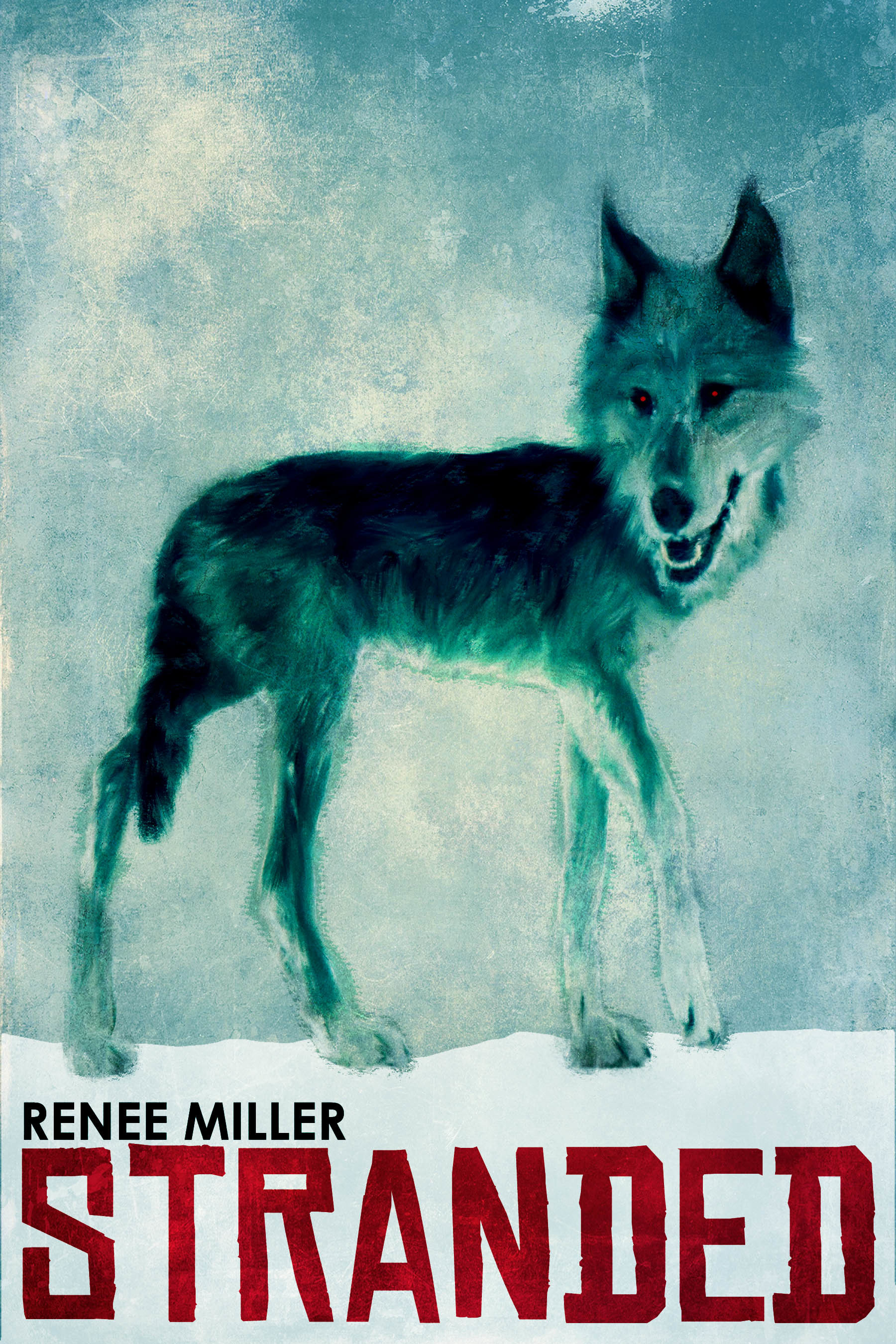 Stranded book cover