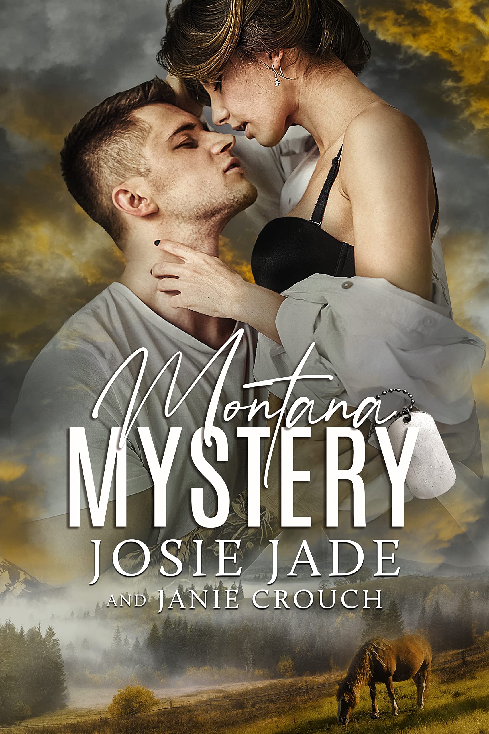 Montana Mystery book cover