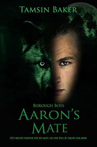 The Borough Boys book cover 2