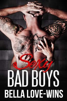 Sexy Bad Boys book cover
