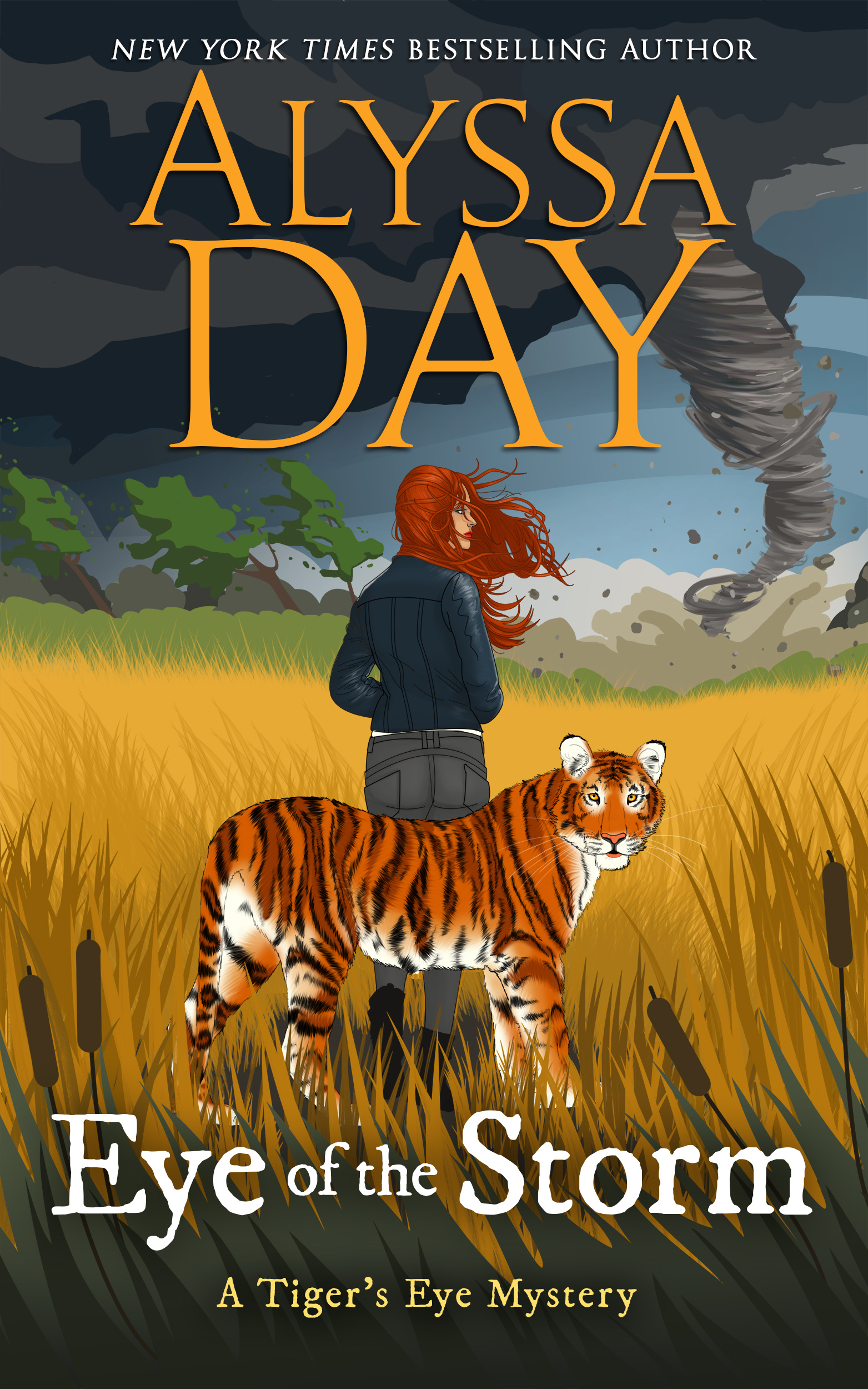 Eye of the Storm book cover
