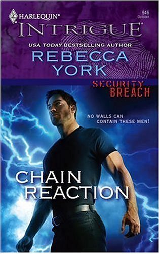 Security Breach book cover 1