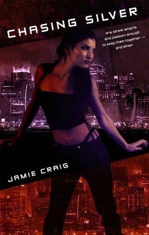 Silver Maiden book cover 1