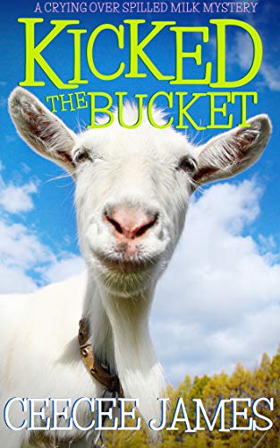 Chelsea Lawson book cover 3