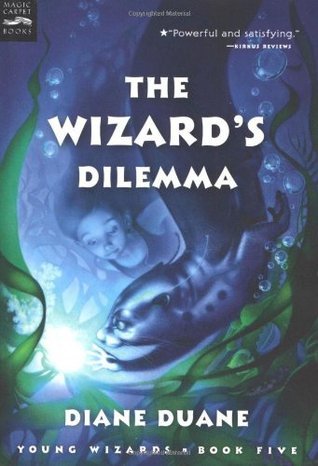 The Wizard's Dilemma book cover