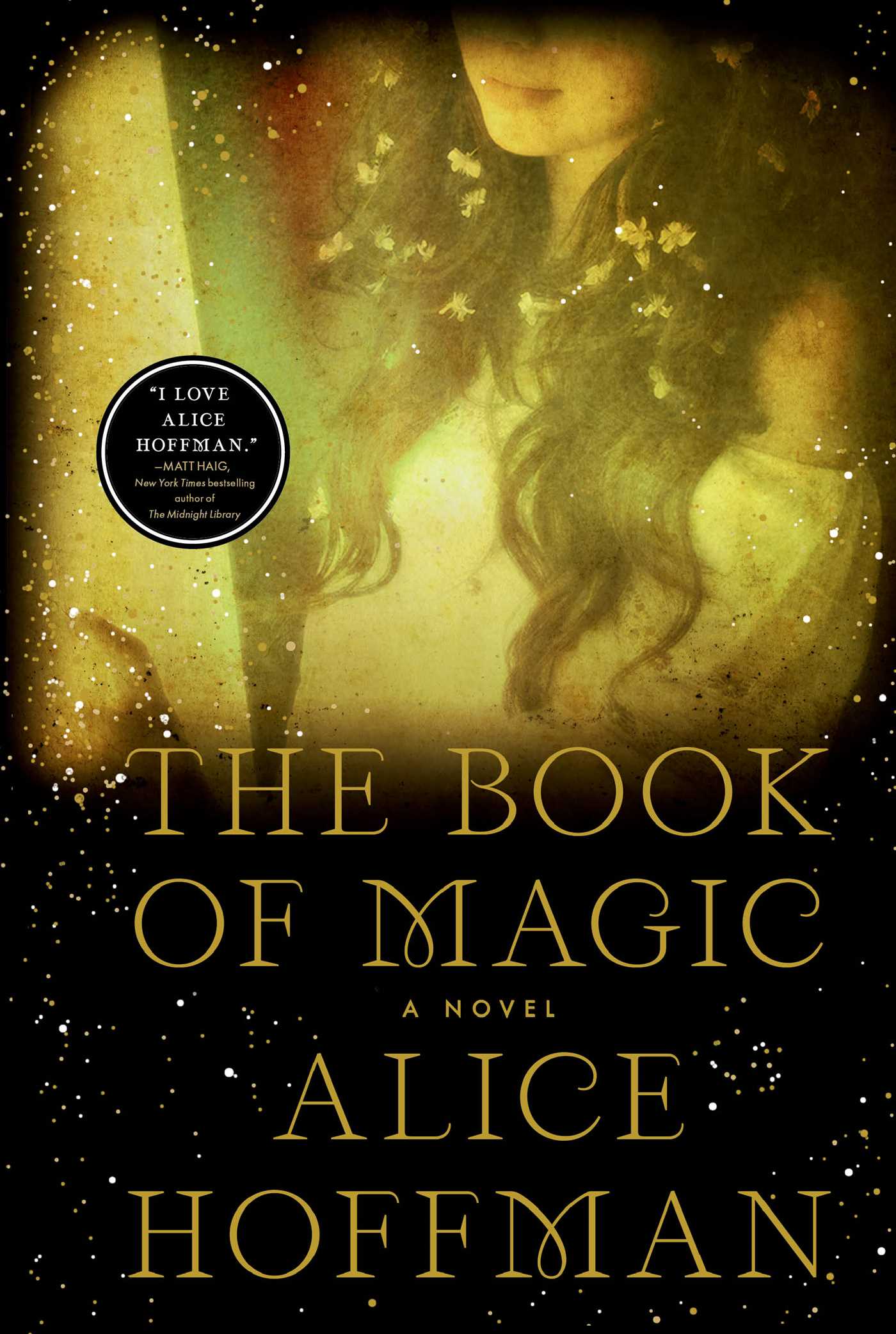 Practical Magic book cover 2