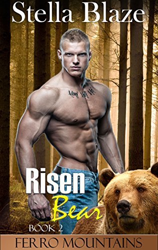 Ferro Mountain Shifters book cover 2