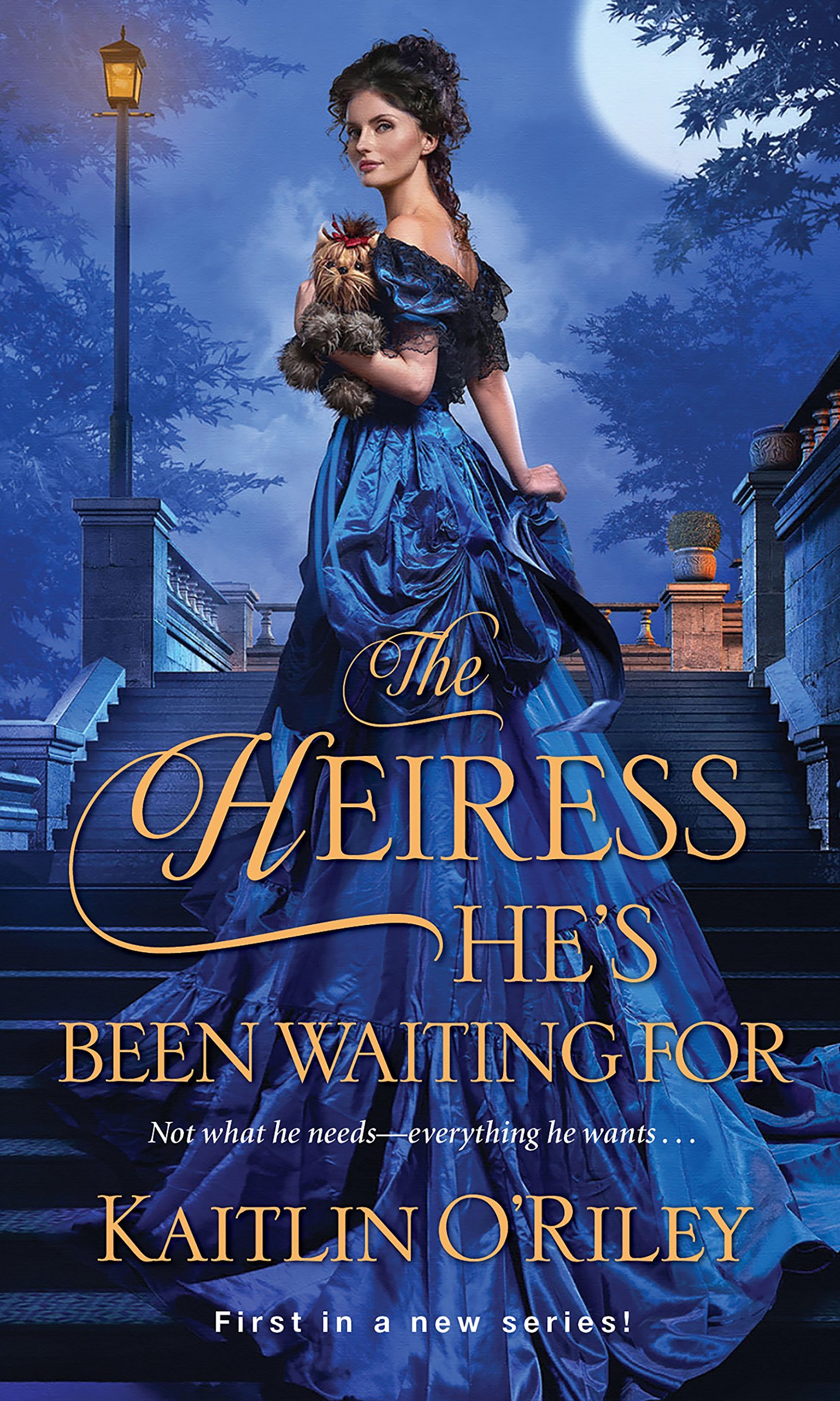 Hamilton Cousins book cover 1