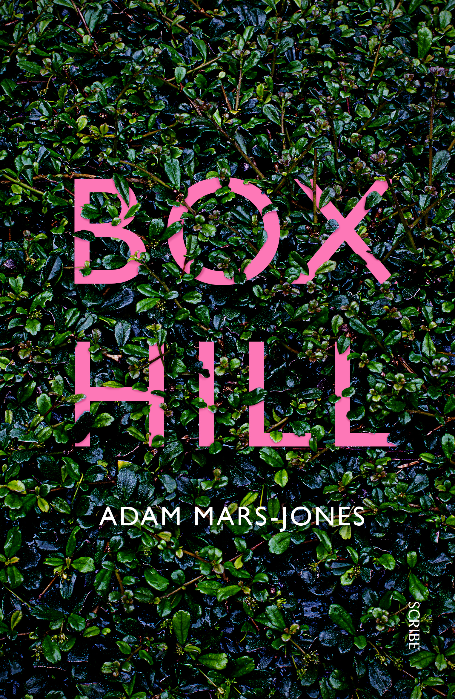 Box Hill book cover