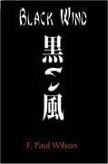 Black Wind book cover