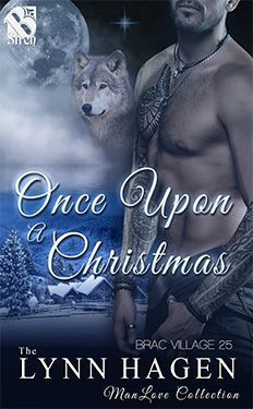 Once Upon a Christmas book cover
