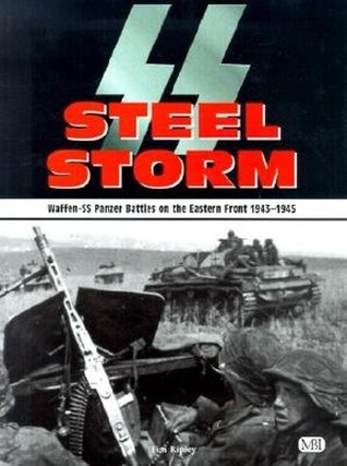 SS Steel Storm book cover