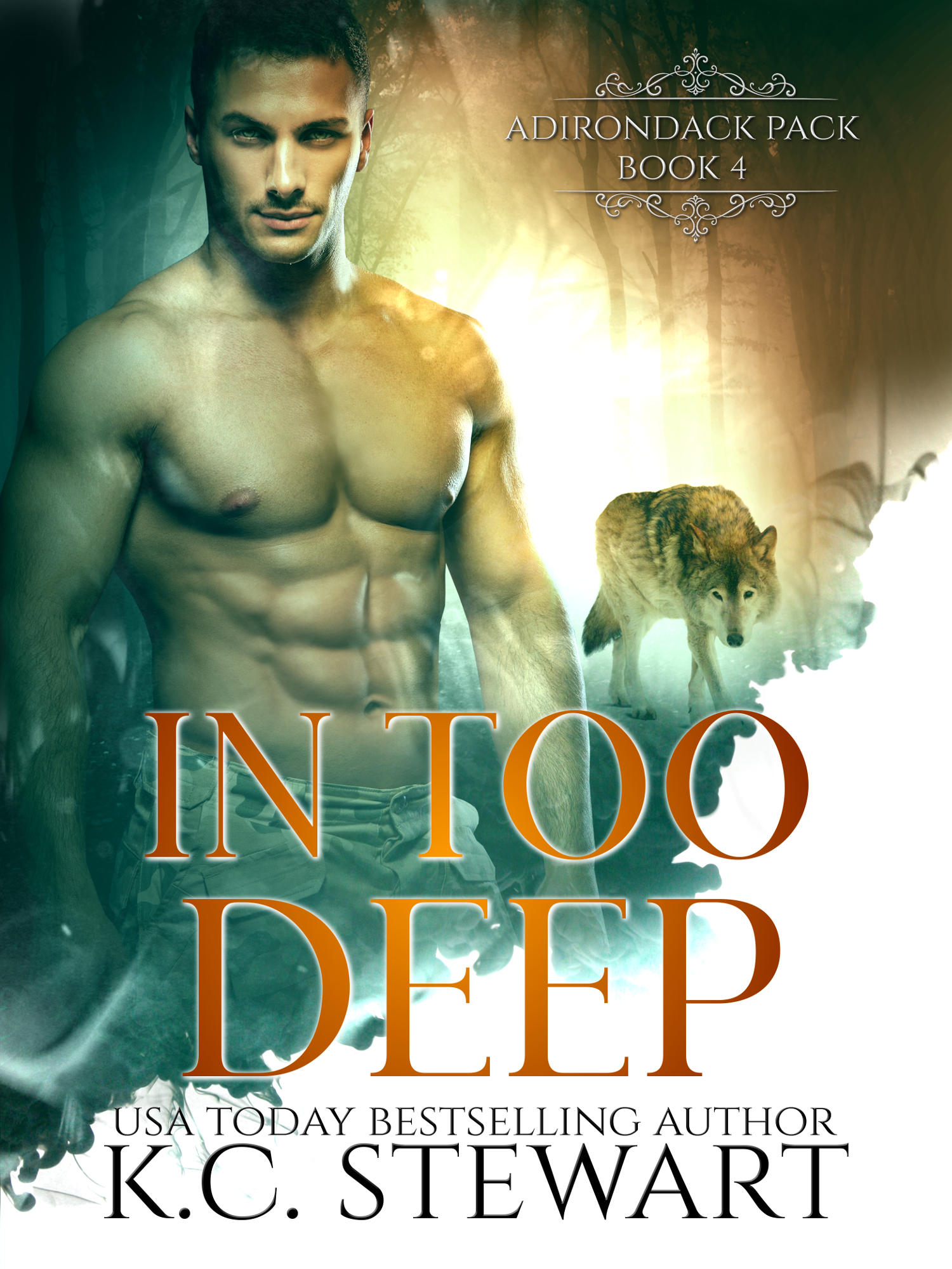 In Too Deep book cover