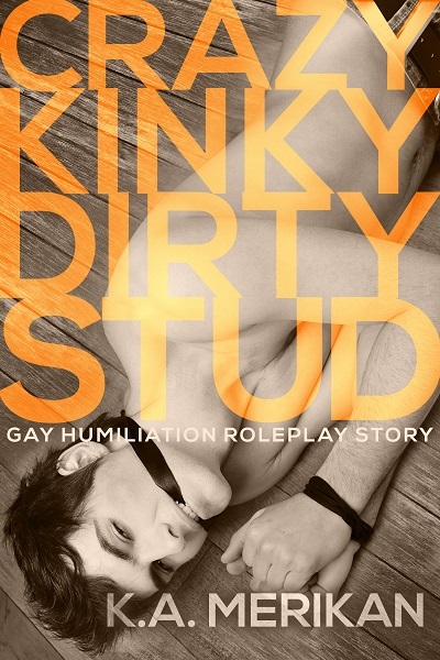 Crazy Kinky Dirty Stud book cover