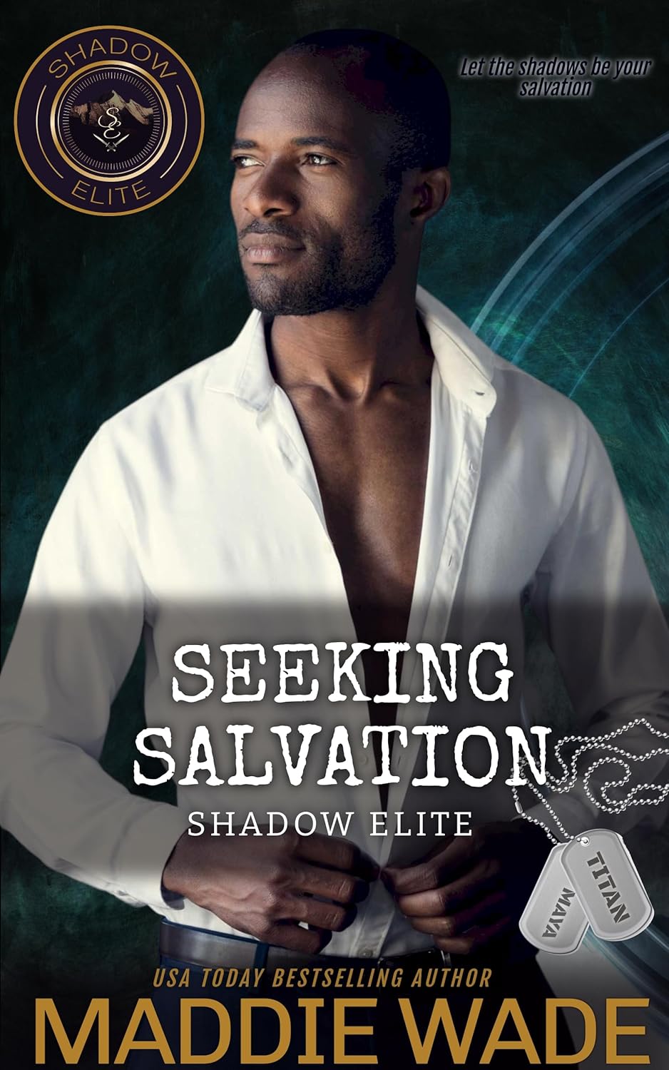 Seeking Salvation book cover